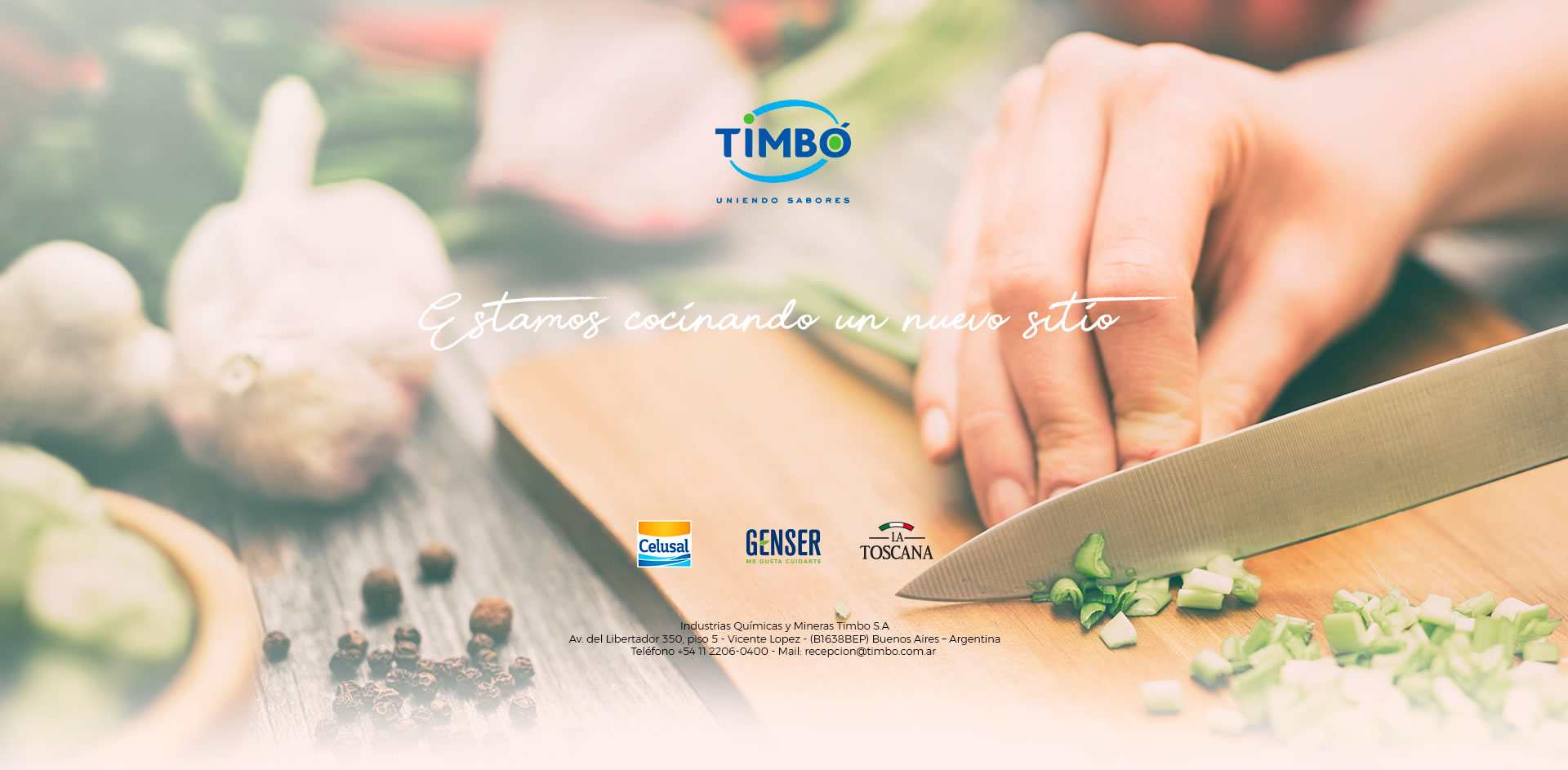 INDUSTRIAS QUIMICAS Y MINERAS TIMBO SA